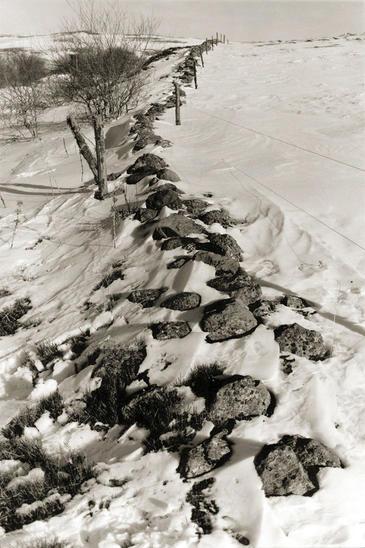 Aubrac, France. © Etienne Pierart.